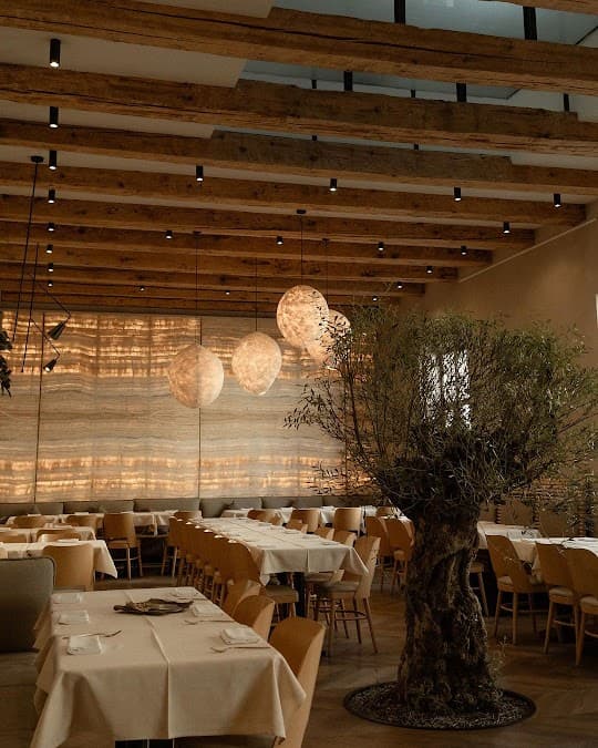 Samsara Foodhouse - vegetarian & vegan restaurant in Cluj-Napoca 400029