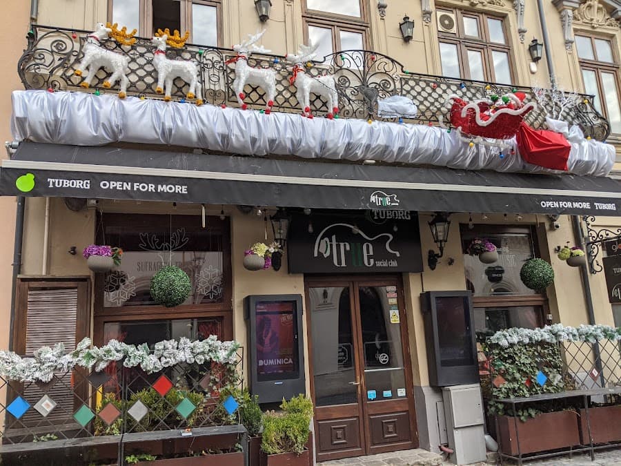 True Club - italian & american restaurant in 030094 București